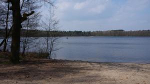 a view of a lake with a tree and water at "Märkische Traube" idyllisches Gästehaus für Selbsversorger in Zesch