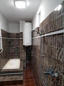 ein Badezimmer mit Dusche und Toilette in der Unterkunft Holiday Home Arbanasi in Arbanassi
