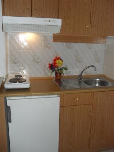 a kitchen with a sink and a counter top at Chris Apartments in Marathokampos