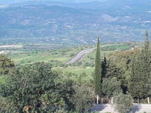 a view of a hill with a tree and a road at Droushia Holiday Apartments in Droushia