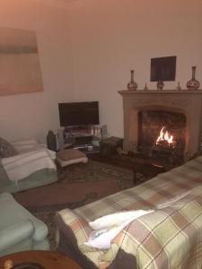 a living room with a fire in a fireplace at Church Street Homestay in Beaumaris