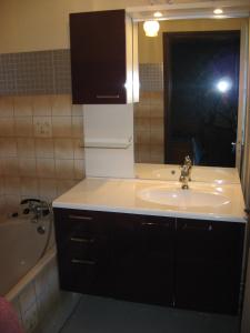 a bathroom with a sink and a mirror and a tub at Le Bel Isle in Echinghen