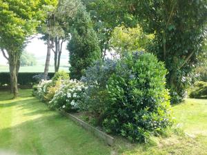 a row of bushes with flowers in a garden at Le Bel Isle in Echinghen