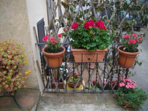 A garden outside La Corte del Frate