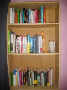 The library in the holiday home