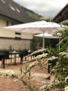Fotografie z fotogalerie ubytování Landhotel Traube v destinaci Baden-Baden + 37 fotografií