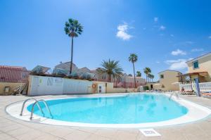 une grande piscine dans une cour avec des palmiers dans l'établissement Maspalomas Suite by "The Stay Las Palmas" VV, à Maspalomas