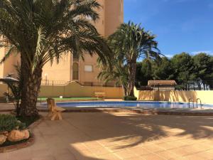 The swimming pool at or close to Como En Casa
