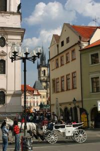 un carruaje tirado por caballos en una calle de la ciudad con edificios en U Tří Bubnů en Praga