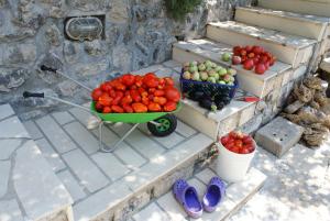 um carrinho de mão de tomates e outras frutas e legumes em degraus em Three oranges em Trsteno