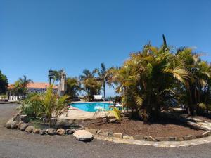 a swimming pool with palm trees in front of a house at Casa Rural Los Geranios 1 in Tijarafe