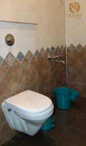 a bathroom with a toilet and a blue bucket at Olives Pleasant Stays in Ooty
