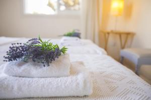 Fotografie z fotogalerie ubytování Larnaca Villa Marina v destinaci Meneou + 37 fotografií