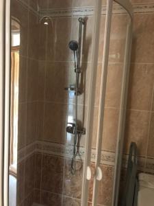 La salle de bains est pourvue d'une douche et d'une porte en verre. dans l'établissement DElfin Apartmanház, à Balatonfüred