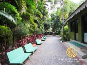 Hotel Anil Farmhouse Gir Jungle Resort外面的花园