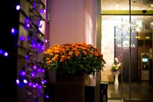 Fotografie z fotogalerie ubytování Aurora Premier Hotel v destinaci Charkov