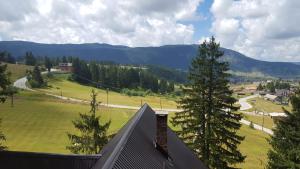 a house with a view of a field and trees at Apartments A Vlasic in Vlasic