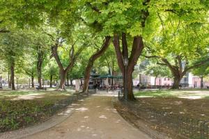 a path in a park with trees and a building at Luxury at Liberdade - In the heart of Lisbon in Lisbon