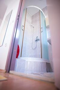 a bathroom with a shower and a tub with a mirror at Villa Šutić in Promajna +291 photos