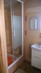 a bathroom with a shower and a sink at Bory Tucholskie Domek in Skorzenno +26 photos