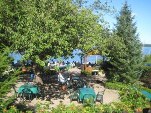 eine Gruppe von Tischen und Stühlen unter einem Baum in der Unterkunft Gasthof am See in Seedorf