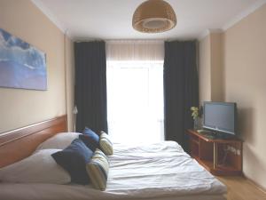 クリニツァ・ズドルイにあるApartament Grażynaのベッドルーム1室(ベッド1台、テレビ、窓付)