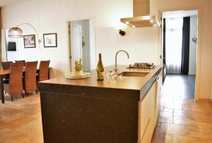 Kuchyň nebo kuchyňský kout v ubytování DAC50 Luxurious apartment Domburg