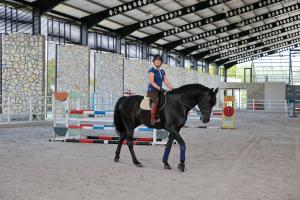 Gallery image of APM Equestrian Resort in Tangerang