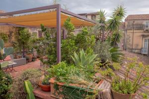 卡塔尼亞的住宿－Tre Vie apARTment con terrazzo giardino pensile，庭院里种有植物的花园
