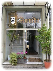 ラプラタにあるHotel avenidaの植物入口
