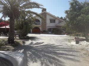ein Haus mit einer Palme davor in der Unterkunft Kiriaki House in Paphos City