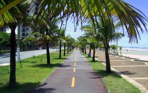 a palm tree lined sidewalk next to the beach at Apartment Vila Tupi in Praia Grande +8 photos