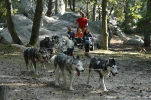 Afbeelding uit fotogalerij van Les Prémices De La Forêt in Chailly-en-Bière