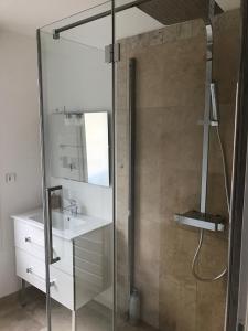 ディエップにあるMaison de ville Dieppeのバスルーム(シャワー、洗面台、鏡付)