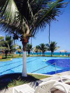 a palm tree sitting next to a swimming pool at Ancorar Flat in Porto De Galinhas