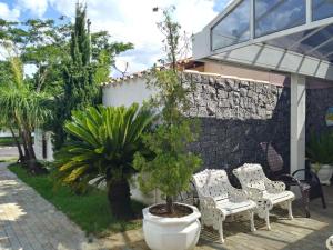 a potted tree in a pot next to a building at Pousada Aguas de Ibira in Termas do Ibirá