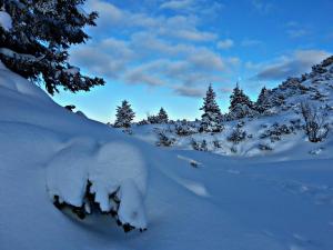 Ferienwohnungen ARIKOGEL Bad Goisern v zime