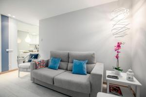 ein Wohnzimmer mit einer grauen Couch mit blauen Kissen in der Unterkunft Ondarreta Beach Apartment con parking free y Aire acondicionado in San Sebastián