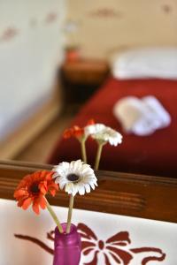 Postel nebo postele na pokoji v ubytování Guesthouse Corali