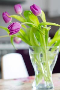 Fotografie z fotogalerie ubytování B&B Marialdo v destinaci Bussoleno