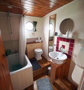 Roisin Dubh Houseboat في Sallins: حمام مع حوض وحوض استحمام ومرحاض