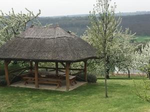 Příroda nedaleko prázdninového domu + 21 fotografií