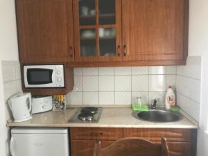 Kuchyň nebo kuchyňský kout v ubytování Farkas Apartman Rezi