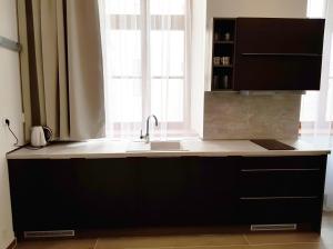 Kuchyň nebo kuchyňský kout v ubytování EURO APARTMENTS LIDICKÁ 39 BRNO