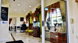 a store front with a window with a cat on a table at Scottish Inn and Suites Alvin in Alvin