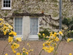 une maison avec des fleurs jaunes devant une fenêtre dans l'établissement La Jarillais, à Saumur
