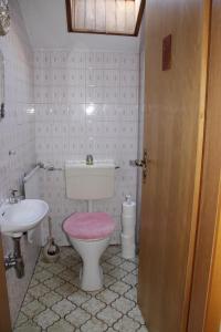 a bathroom with a toilet and a sink at Ferienwohnung Achatz Josef sen in Arnbruck
