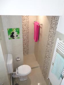 a bathroom with a toilet and a pink towel at Alexandra Studios in Sibiu +33 photos