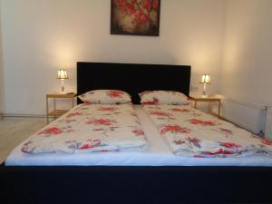 a bedroom with a bed with two pillows on it at Alexandra Studios in Sibiu
