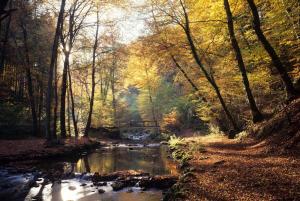 Paesaggio naturale nelle vicinanze dell'hotel